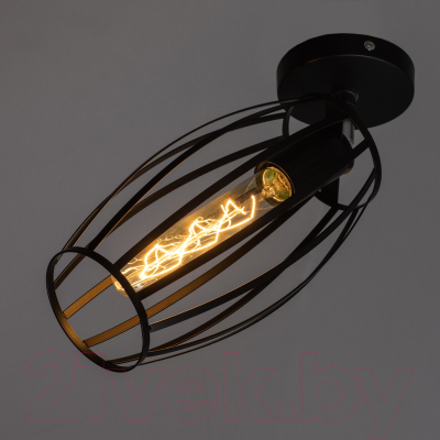 Спот BayerLux Овал / 9951754