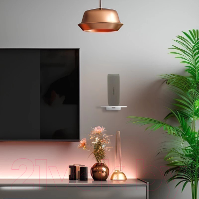 Кронштейн под аппаратуру Rexant 38-0633