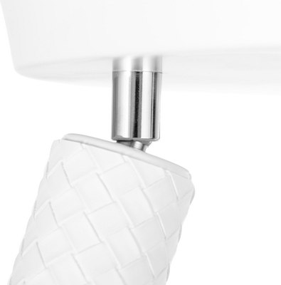 Спот BayerLux Скин / 9919698