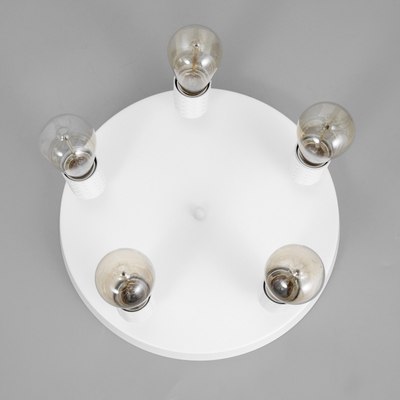 Спот BayerLux Скин / 9919700