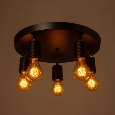 Спот BayerLux Скин / 9919699