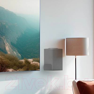 Кронштейн под аппаратуру Rexant Для Яндекс Станции 38-0623