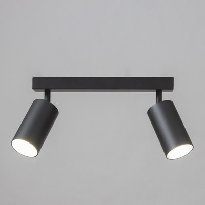 Спот BayerLux Этнес / 9909632