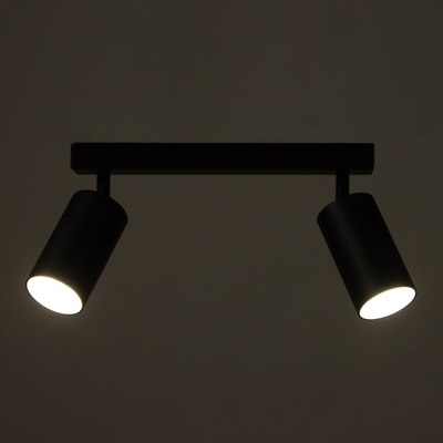 Спот BayerLux Этнес / 9909632