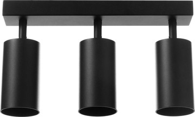 Спот BayerLux Этнес / 9909641