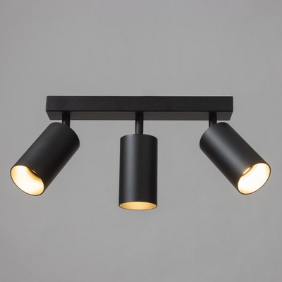 Спот BayerLux Этнес / 9909641