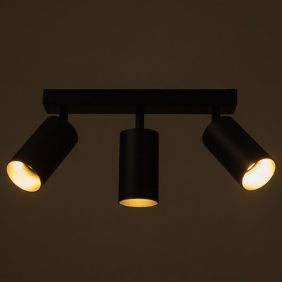 Спот BayerLux Этнес / 9909641