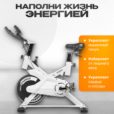 Велотренажер Sundays Fitness ES-7702