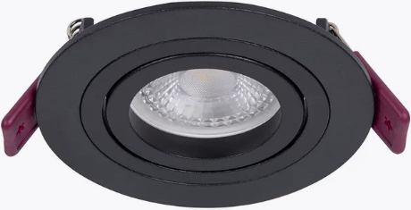 Точечный светильник FAVOURITE 4543-1C