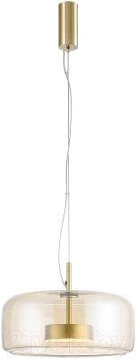 Потолочный светильник FAVOURITE 4235-2P - фото