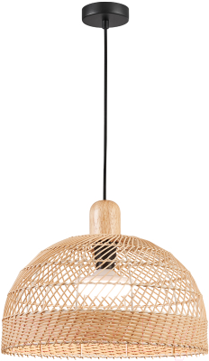 Потолочный светильник FAVOURITE 4460-1P - фото