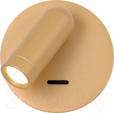 Спот FAVOURITE 4498-1W - фото