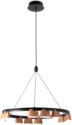 Люстра FAVOURITE 4266-12P - фото