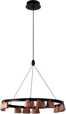 Люстра FAVOURITE 4266-12P