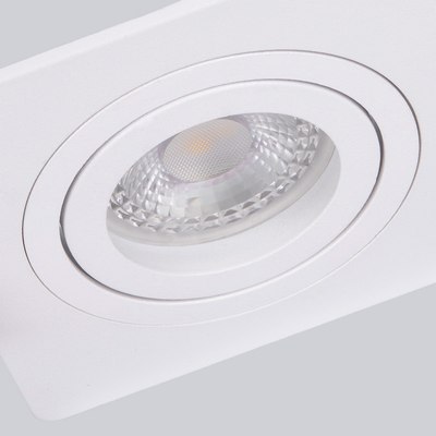 Точечный светильник FAVOURITE 4542-1C