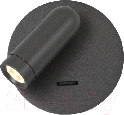 Спот FAVOURITE 4499-1W - фото