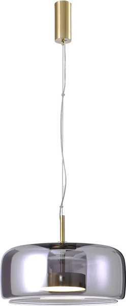 Потолочный светильник FAVOURITE 4234-2P - фото