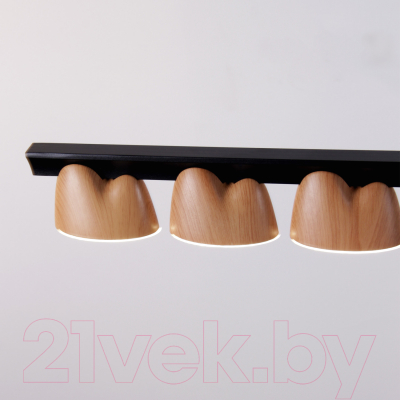 Люстра FAVOURITE 4266-10P