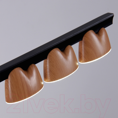 Люстра FAVOURITE 4266-10P