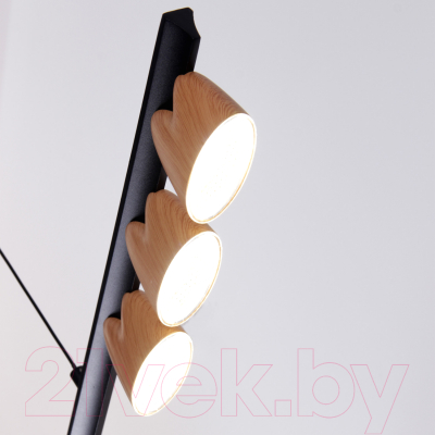 Люстра FAVOURITE 4266-10P