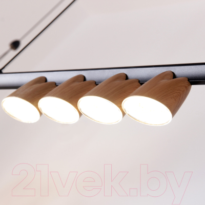 Люстра FAVOURITE 4266-10P