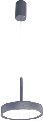 Потолочный светильник FAVOURITE 4508-1P - фото