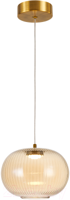 Потолочный светильник FAVOURITE 4451-1P - фото