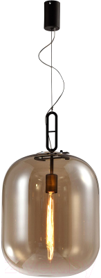 Потолочный светильник FAVOURITE 4264-1P - фото