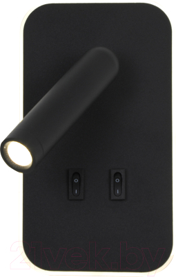 Спот FAVOURITE 4497-2W - фото