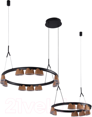 Люстра FAVOURITE 4266-21P