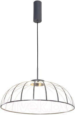 Потолочный светильник FAVOURITE 4285-6P