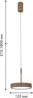 Потолочный светильник FAVOURITE 4509-1P