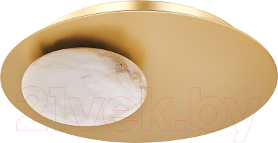 Светильник FAVOURITE 4556-1W - фото