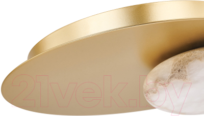 Светильник FAVOURITE 4556-1W