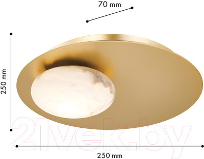 Светильник FAVOURITE 4556-1W