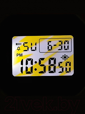 Часы наручные унисекс Casio DW-5600EP-2E