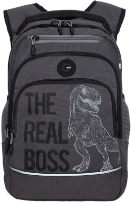 Школьный рюкзак Grizzly RB-450-3 - фото