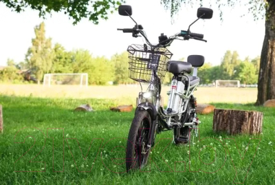 Электровелосипед AVM E-ALFA 20 Pro