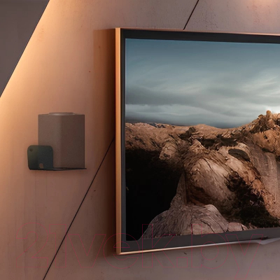 Кронштейн под аппаратуру Rexant Для Яндекс Станции 38-0622