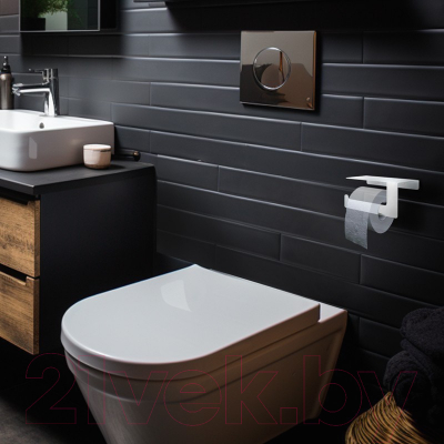 Держатель для туалетной бумаги Rexant 38-0636