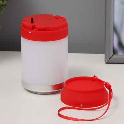 Ночник Risalux Фоси / 10193687