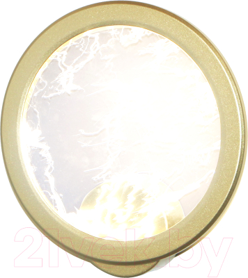 Светильник FAVOURITE 4374-1W - фото