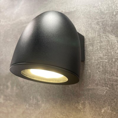 Бра уличное FAVOURITE 4383-1W