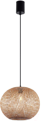 Потолочный светильник FAVOURITE 4271-1P - фото