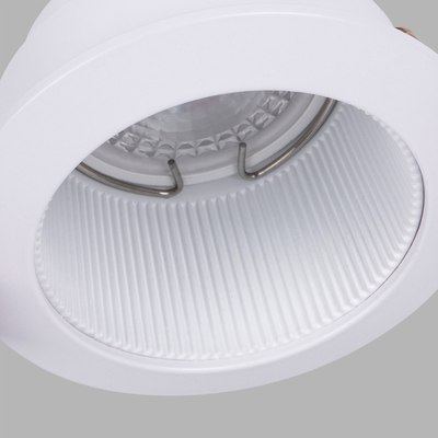 Точечный светильник FAVOURITE 4544-1C