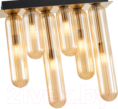 Люстра FAVOURITE 4455-6P