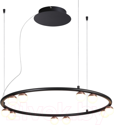 Потолочный светильник FAVOURITE 4320-10P - фото