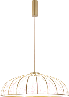 Потолочный светильник FAVOURITE 4286-8P - фото