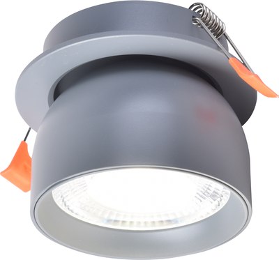 Точечный светильник FAVOURITE 4512-1C - фото