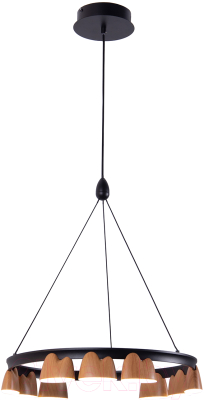 Люстра FAVOURITE 4266-9P - фото